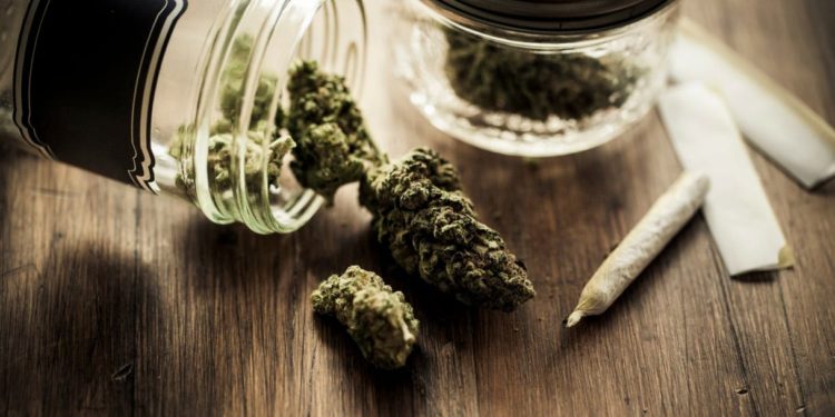 Firenze: arriva la Marijuana light a domicilio con JustMary.fun