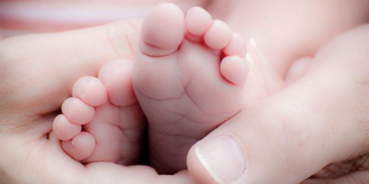 Natalità: il primato va a Bolzano. Il Meridione arranca.