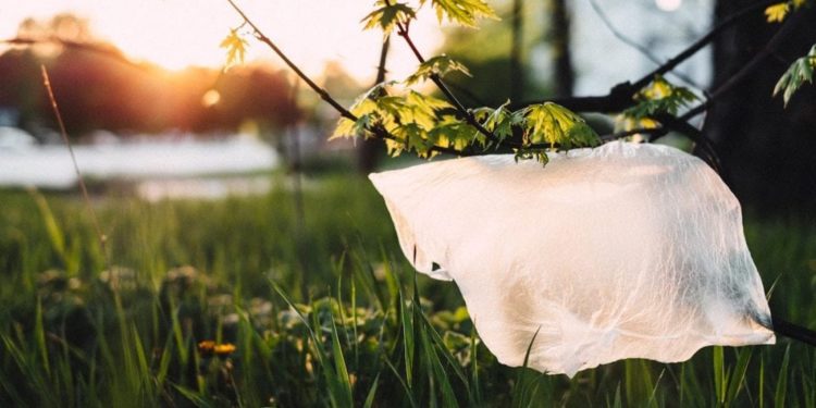 Plastica: dalla UE stop a oggetti monouso nel 2021. Coldiretti: emergenza plastica anche nelle campagne