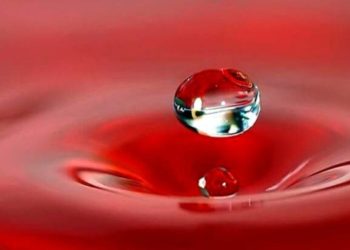 E se la società liquida fosse un buco nell’acqua?