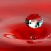 E se la società liquida fosse un buco nell’acqua?