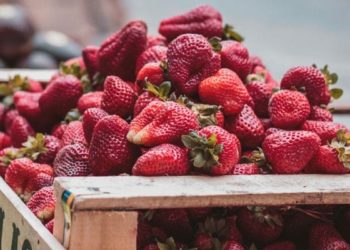 Biologico, Coldiretti: contro le frodi serve un logo a tutela del Bio Made in Italy