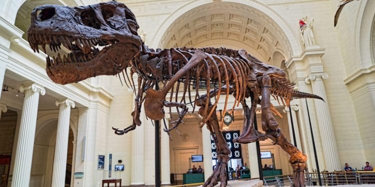 I Liberal americani ed il sesso dei dinosauri