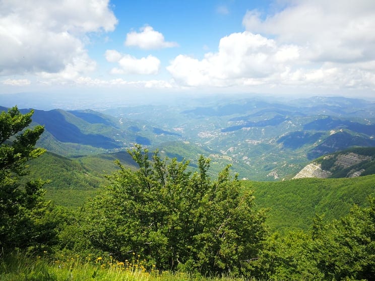 Il Parco Nazionale delle Foreste Casentinesi, Monte Falterona, Campigna