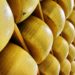Parmigiano Reggiano