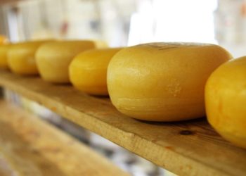 Salgono a 5155 le Bandiere del Gusto 2019. Sul podio Campania, Toscana e Lazio