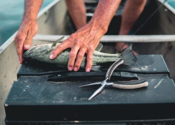 Fish Dependence Day, Coldiretti: in Italia stranieri 8 pesci su 10