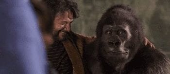 Recensione film: “Attenti al gorilla”