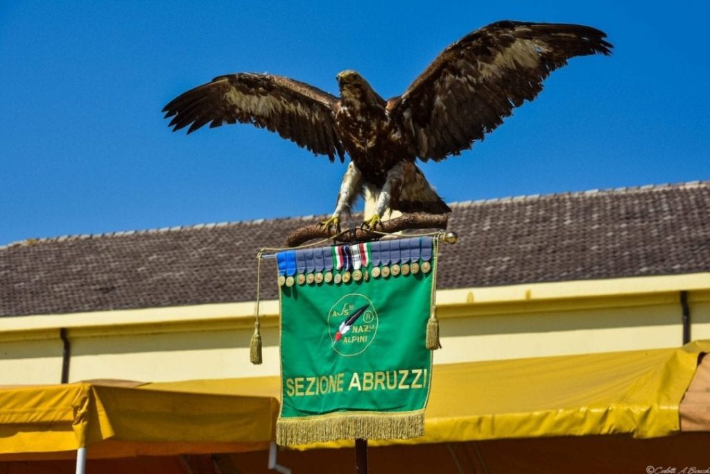 Il labaro dell'Ass. Naz.le Alpini - Sezione Abruzzi, presente alla cerimonia di passaggio di consegne