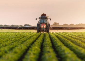 Coldiretti: l’Italia ha l’agricoltura più “green” in Europa