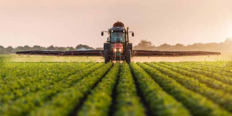 Coldiretti: l’Italia ha l’agricoltura più “green” in Europa