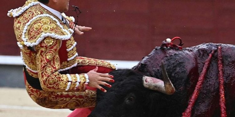 El Matador matado, Gonzalo Caballero torero compagno della nipote del re di Spagna è in gravi condizioni. Stop Corrida!