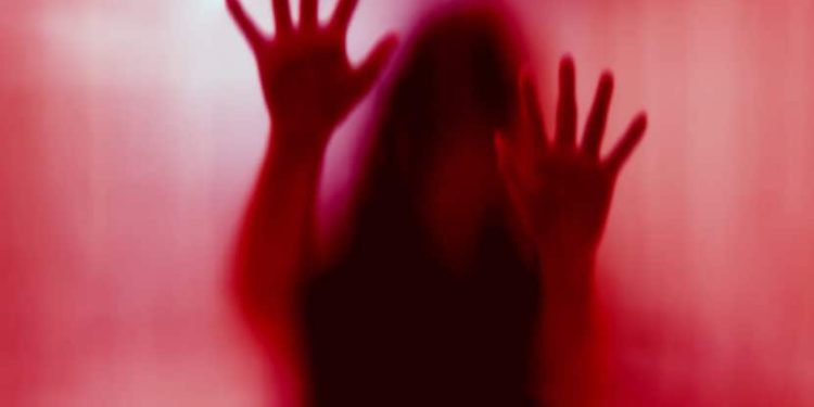 Delirio e violenza a Milano: la morde e prova a spogliarla per violentarla sul treno
