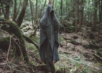 Dentro la foresta dei suicidi: l’orrore nel mar nero di alberi