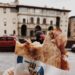 Focaccia con salumi toscani, Firenze