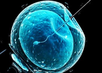 La Corte Costituzionale e la Corte europea dei diritti dell’uomo riconoscono che non esiste un diritto alla genitorialità per le coppie omosessuali