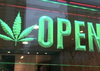 Cannabis light: via libera, la canapa torna (rimane) nei negozi