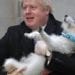 BORIS