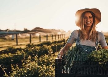 Giovani ed agricoltura: l'Italia ai primi posti nella UE per imprese agricole condotte da 'under 35'