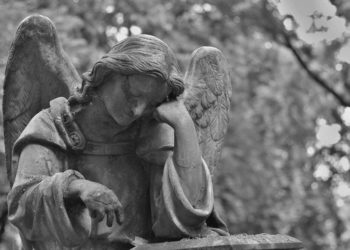 Le principali cause di morte del 2019. Sfatiamo i miti