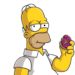 HOMER