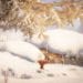 Recensione videogame: Unravel