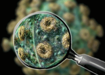 LOMBARDIA CORONAVIRUS