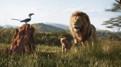 Il Re Leone» 2019 fa piangere quanto l'originale? La recensione onesta