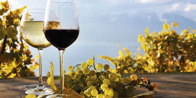 Vino biodinamico