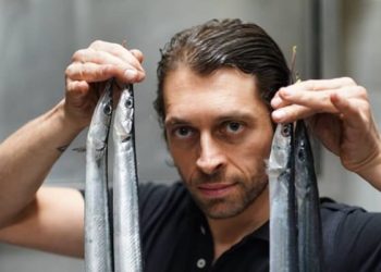 pasquale naccari