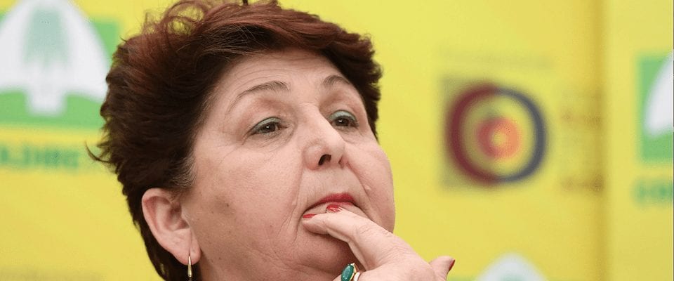 Chi Ha Messo Il Reddito Di Cittadinanza