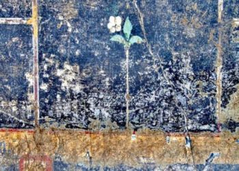 Italia riparti: da Pompei. Il giglio bianco e la mummia bambina