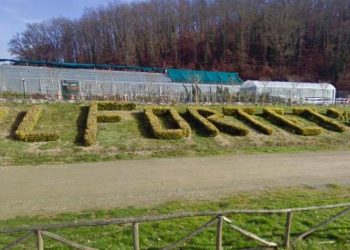 FORTETO