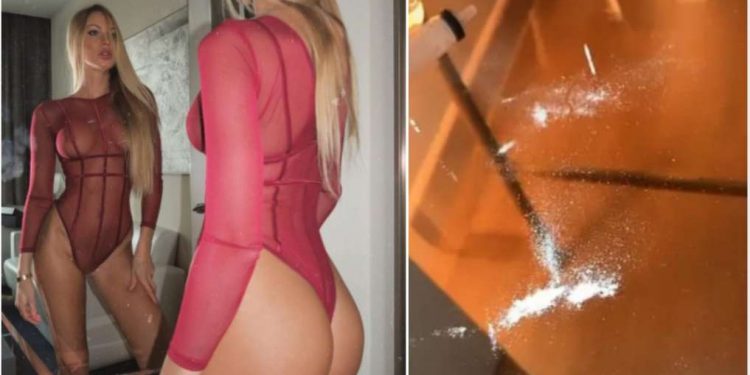 TAYLOR MEGA