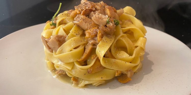 funghi