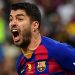 suarez