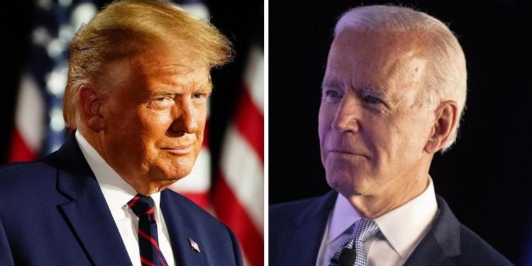 trump biden