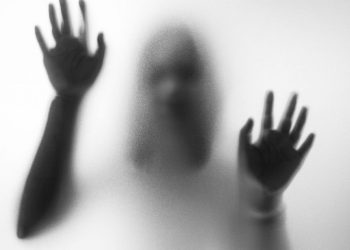 Violenza