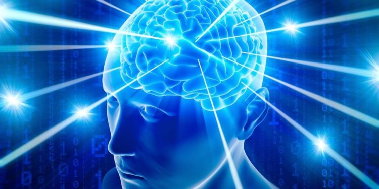 Il Quoziente Intellettivo medio diminuisce ogni anno