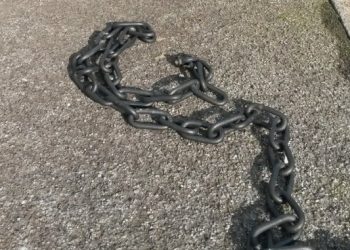 Aggressione a tre giovani militanti di Fratelli d’Italia