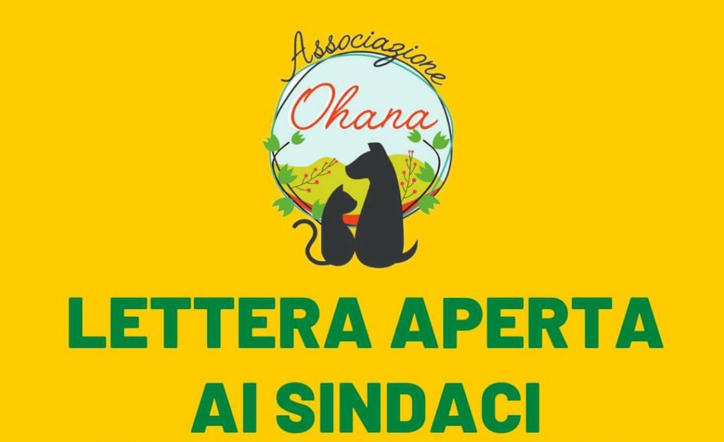 Oasi ohana