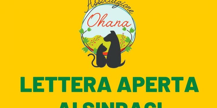 Oasi ohana