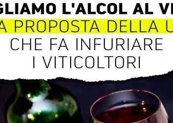 No al vino dealcolato