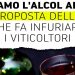 No al vino dealcolato