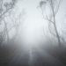 Nebbia
