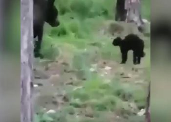 siberia