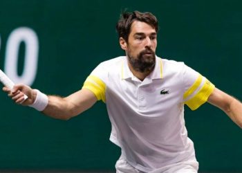 chardy