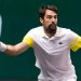 chardy