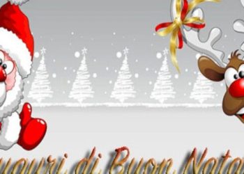dalli