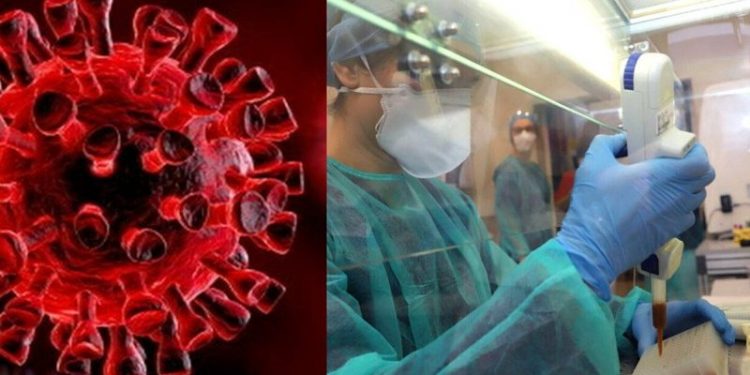 La variante Delta sta già scomparendo, lo studio rivoluzionario del Giappone